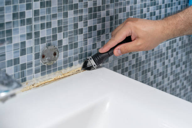 Mold Removal Process in Estill Springs, TN
